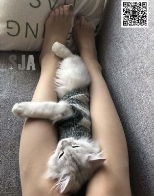警花与警犬之再上征程第五季_超清在线观看视频