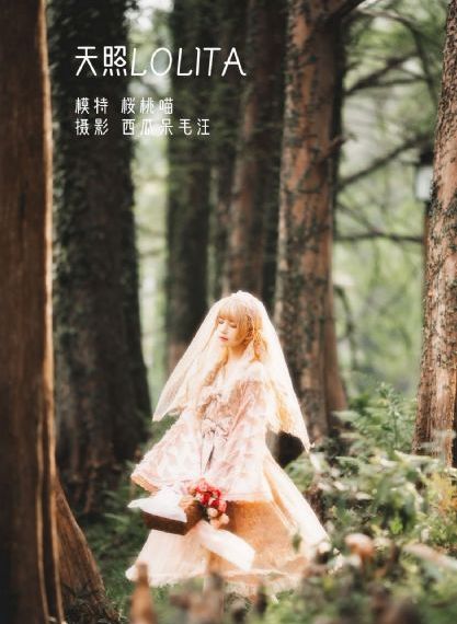 上海女子图鉴全集免费观看_高清全集免费播放