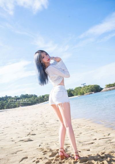 苍狼之特战突击电视剧免费观看_超清HD高清在线观看