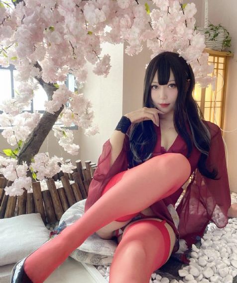 针锋对决 电视剧_正片免费观看