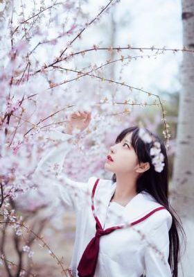 免费高清无人区美剧网动漫_BD英语神马在线观看